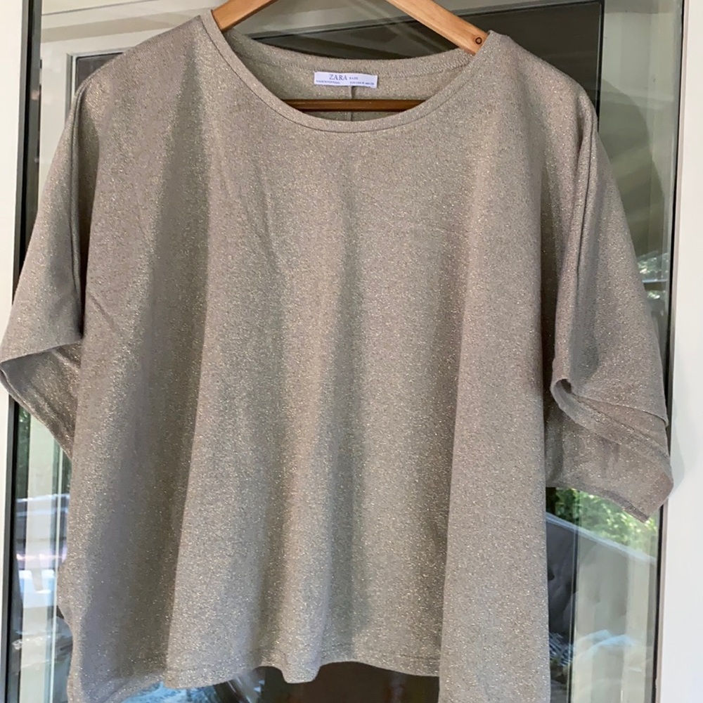 Zara Metallic Crop Blouse